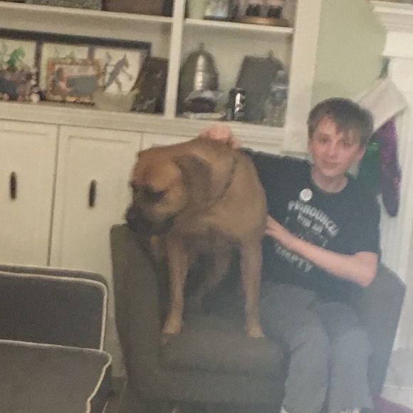 Meet your Posher, Margaret - Picture 3 of 6